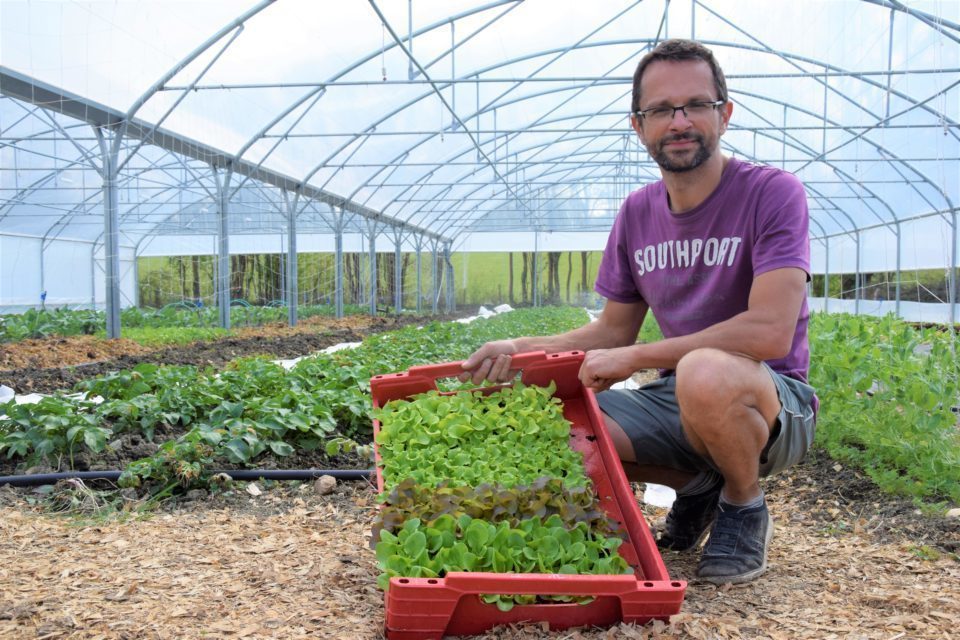 Olivier Gautreau. Les jardins des petites courbes Olivier Gautreau. Les jardins des petites courbes