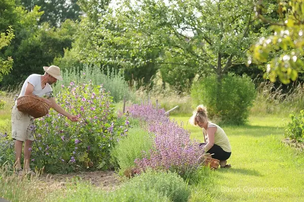 earl jardin solstice